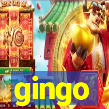 gingo
