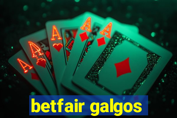 betfair galgos