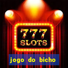 jogo do bicho documentario globoplay