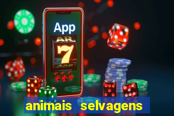 animais selvagens fotos e nomes