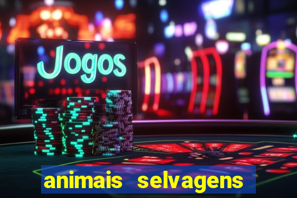 animais selvagens fotos e nomes