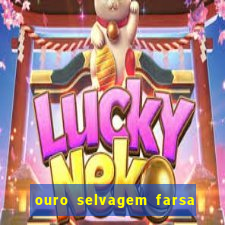 ouro selvagem farsa ouro selvagem o que aconteceu