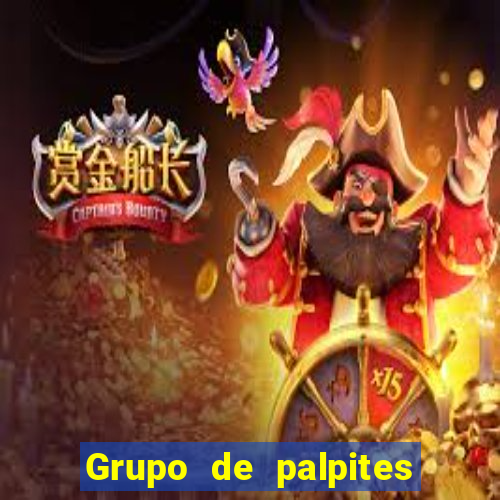 Grupo de palpites de futebol gratis