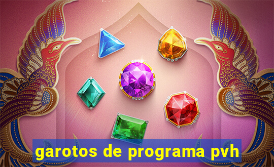 garotos de programa pvh