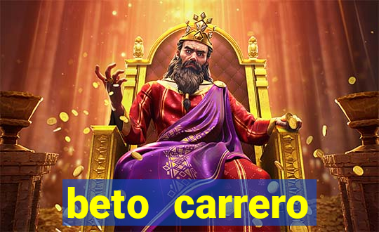 beto carrero cidades proximas