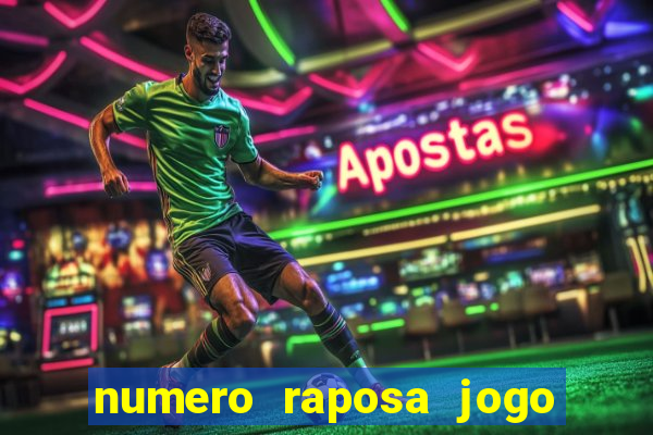 numero raposa jogo do bicho