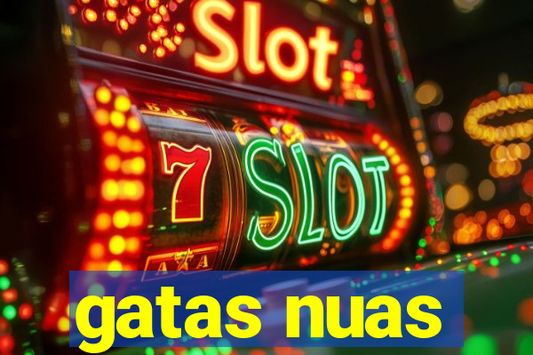 gatas nuas