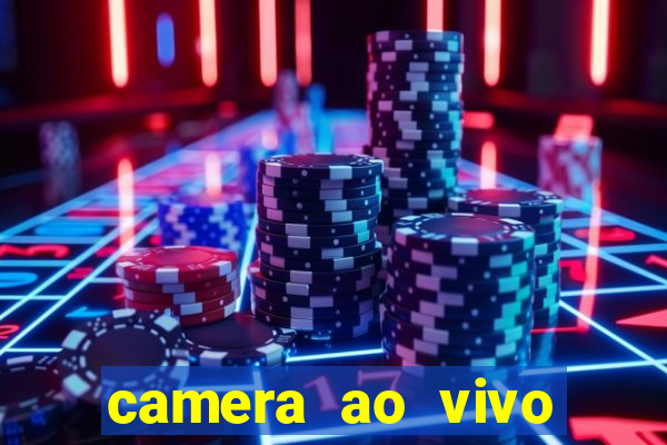 camera ao vivo porto de galinhas