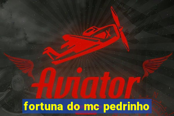 fortuna do mc pedrinho