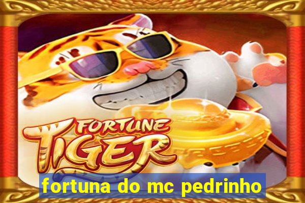 fortuna do mc pedrinho