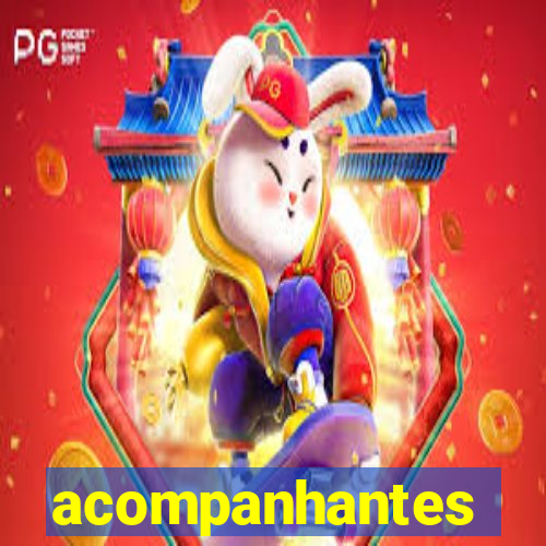 acompanhantes masculino pvh