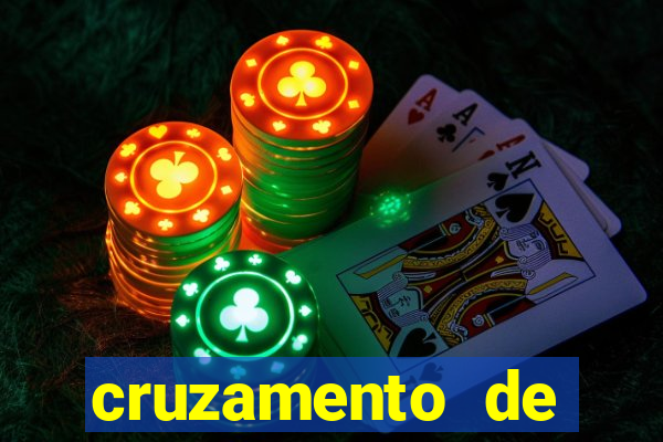 cruzamento de cavalo com mula