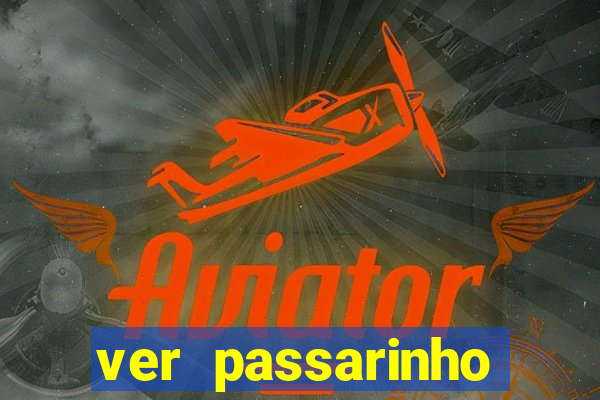 ver passarinho morto significado