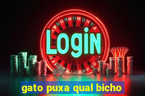 gato puxa qual bicho