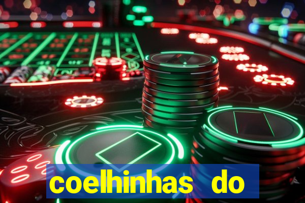 coelhinhas do brasil acompanhantes