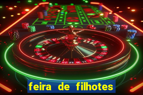 feira de filhotes porto alegre