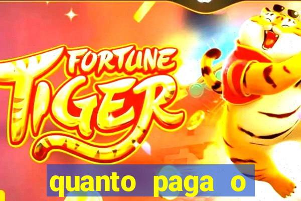 quanto paga o jungle fight
