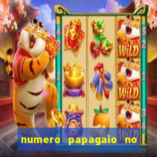numero papagaio no jogo do bicho