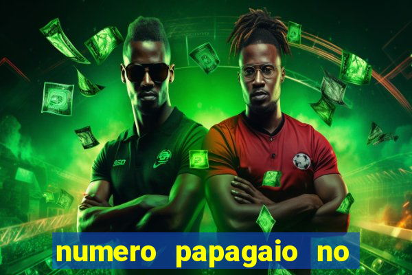 numero papagaio no jogo do bicho