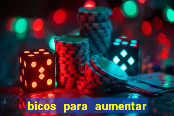 bicos para aumentar a renda