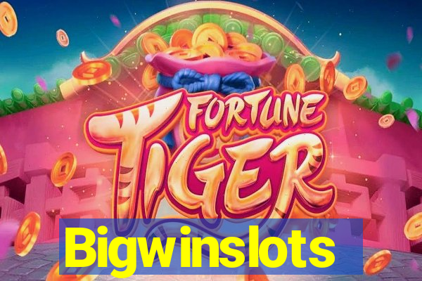 Bigwinslots