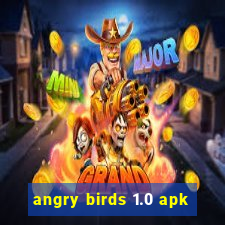 angry birds 1.0 apk