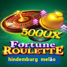hindemburg melão jr fortuna
