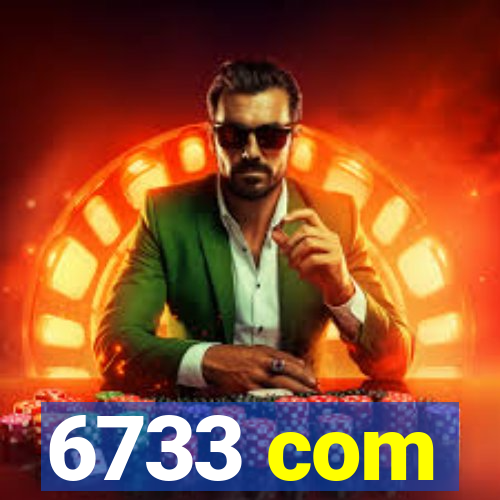 6733 com