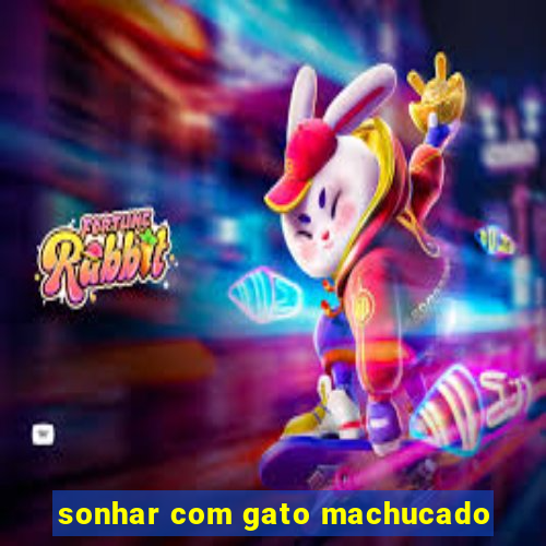 sonhar com gato machucado