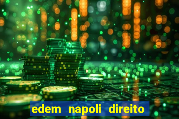 edem napoli direito constitucional pdf