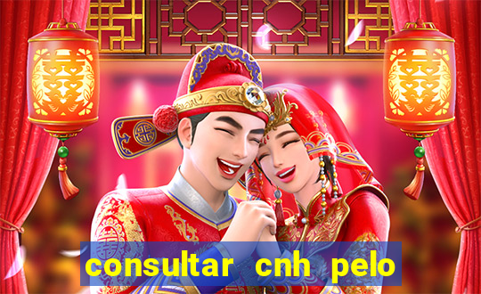 consultar cnh pelo cpf sp