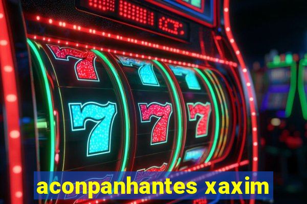 aconpanhantes xaxim