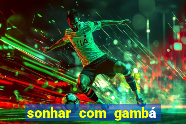 sonhar com gambá jogo do bicho