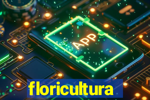 floricultura juazeiro bahia