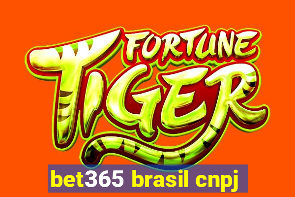 bet365 brasil cnpj