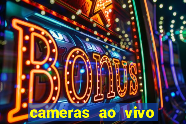 cameras ao vivo beto carrero