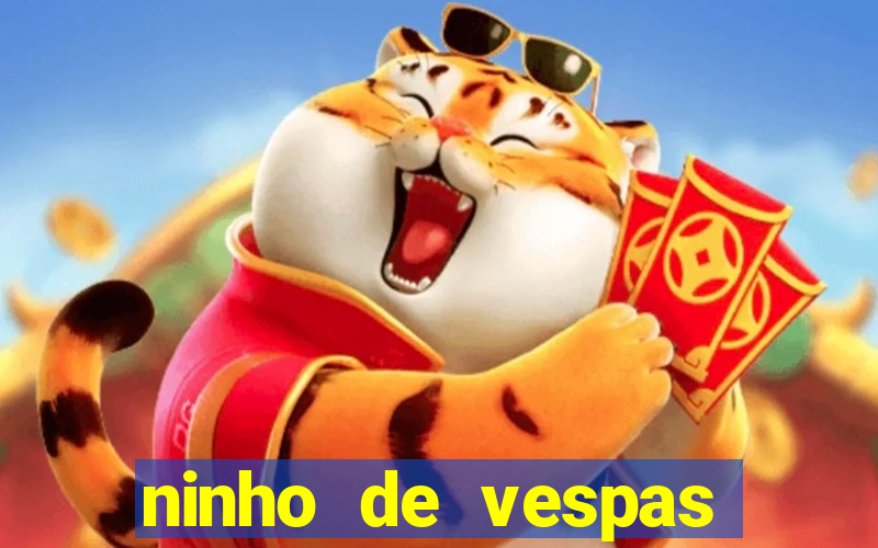ninho de vespas significado espiritual