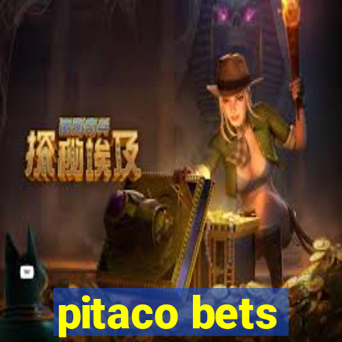 pitaco bets