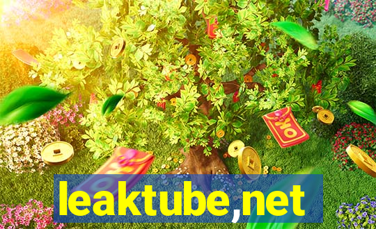 leaktube,net