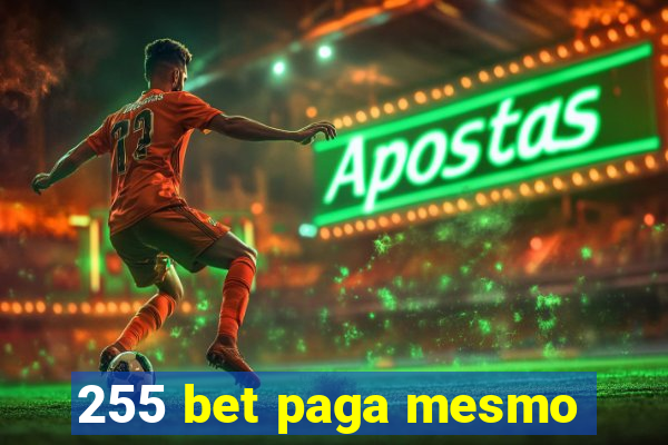 255 bet paga mesmo