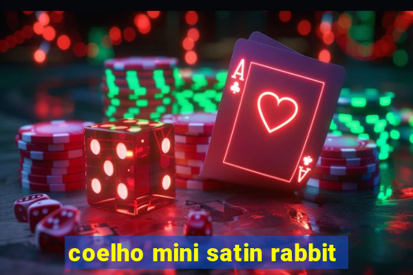 coelho mini satin rabbit