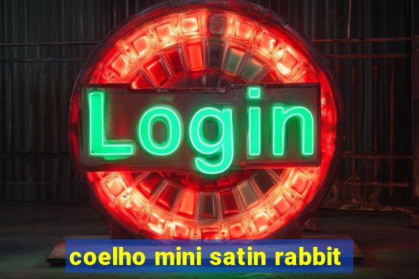 coelho mini satin rabbit
