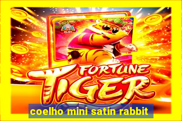 coelho mini satin rabbit