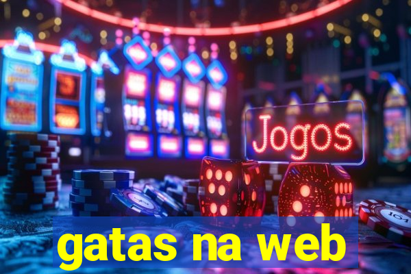 gatas na web