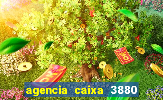 agencia caixa 3880 sao paulo