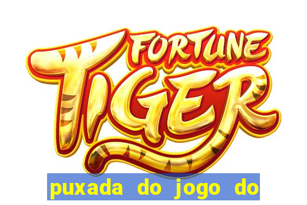 puxada do jogo do bicho da sueli