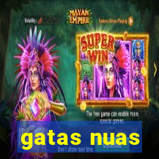 gatas nuas