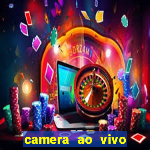 camera ao vivo porto de galinhas