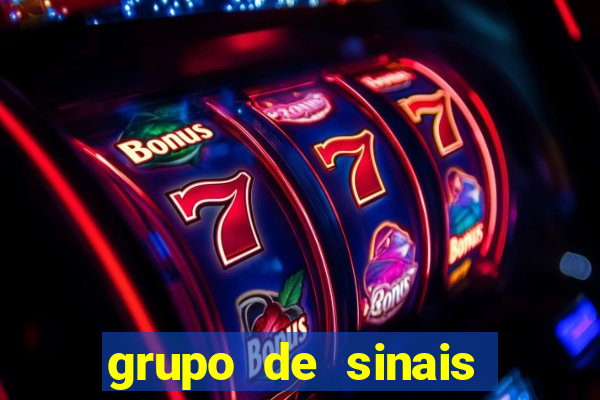 grupo de sinais fortune rabbit