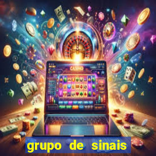 grupo de sinais fortune rabbit